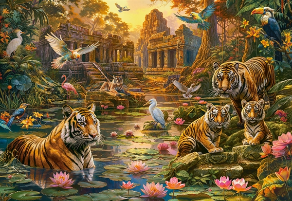 Tigerns paradis