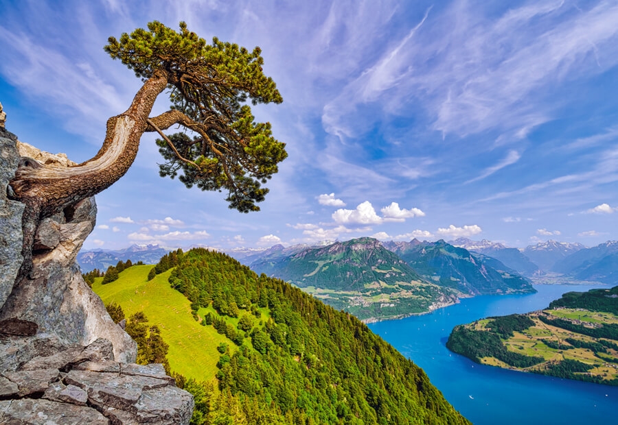 Utsikt över sjön Uri, Schweiz