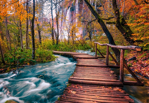 Skogsström i Plitvice, Kroatien