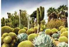 Huntington Desert Garden, Kalifornien, USA