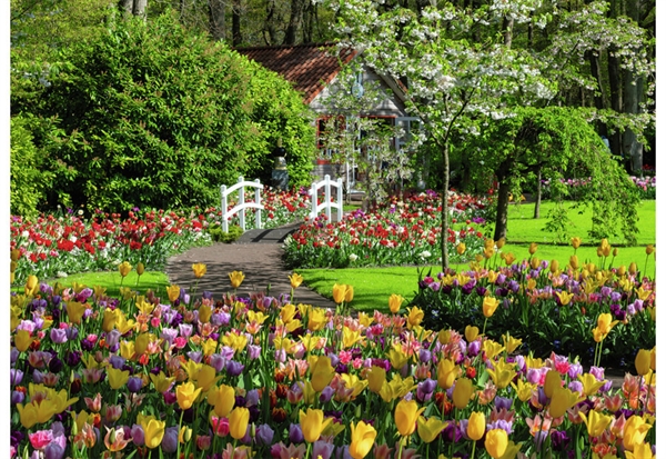 Keukenhof Gardens, Nederländerna