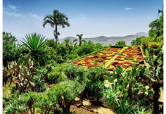 Botaniska trädgården, Madeira