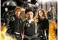 Harry Potter (Neon)