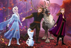 Disney Frozen