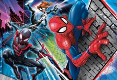 Marvel Spider-Man