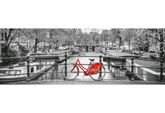 Amsterdam cykel