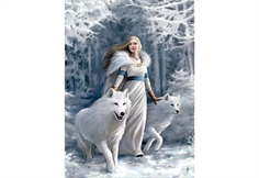 Anne Stokes - Winter Guardians