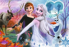 Disney Frozen