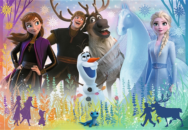 Disney Frozen (Glitter)